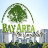 bayareatree1