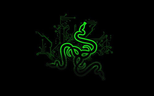 razer_00339813.jpg