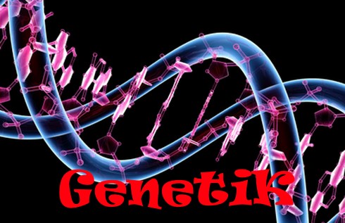 genetik-test.jpg