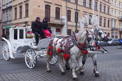 Krakow Carriage