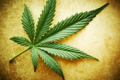 Marijuana-leaf-2-10-12.jpg