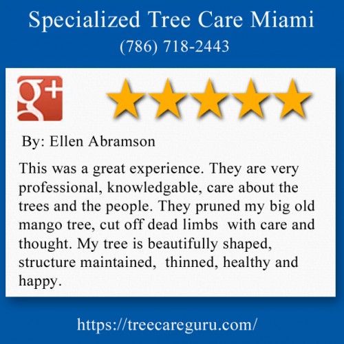 Specialized Tree Care
Miami, FL
(786) 718-2443

https://treecareguru.com/tree-removal-miami/