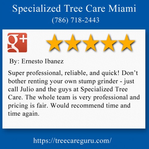Specialized Tree Care
Miami, FL
(786) 718-2443

https://treecareguru.com/stump-removal-miami/