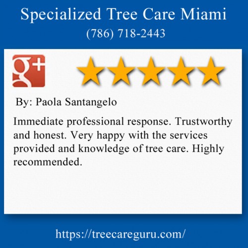 Tree-Care-Guru-08.jpg