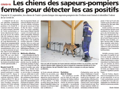 Le-Courrier-des-Yvelines-281020-Les-chiens-des-sapeurs-pompiers-formes-pour-detecter-les-cas-positifs.jpg