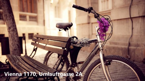 Umlauftgasse-2A_6.jpg