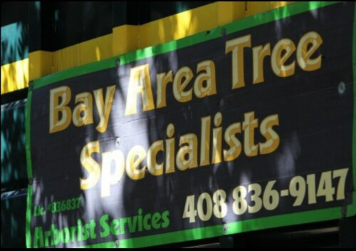 Bay Area Tree Specialists
541 W Capitol Expy #287 
San Jose CA 95136
(408) 836-9147

http://bayareatreespecialists.com/tree-trimming-san-jose/