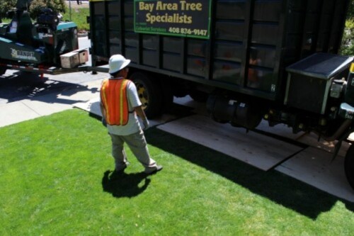 Bay Area Tree Specialists
541 W Capitol Expy #287 
San Jose CA 95136
(408) 836-9147

https://bayareatreespecialists.com/commercial-tree-services-san-jose-ca/
