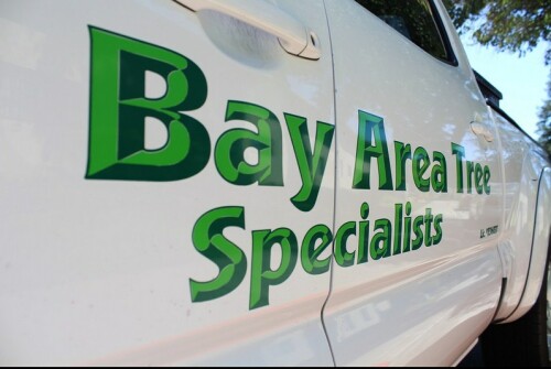Bay Area Tree Specialists
490 S. California Ave 
Palo Alto, CA, 94036
(650) 353-5671

http://bayareatreespecialists.com/tree-pruning-palo-alto/