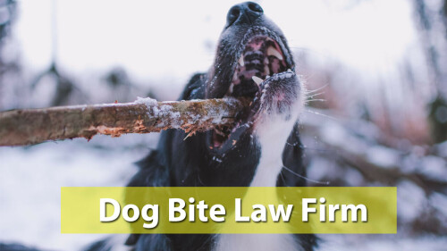 injury-attorney-morgan-hill.jpg