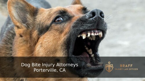 dog-bite-injury-attorneys-porterville.jpg