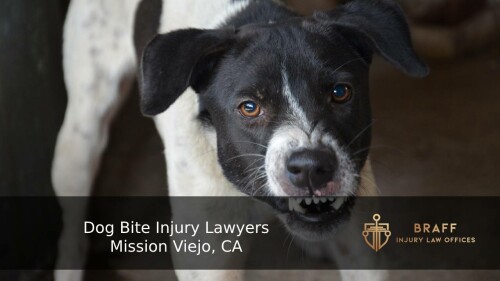 dog-bite-injury-lawyers-mission-viejo.jpg
