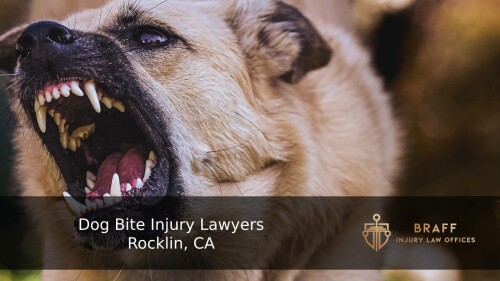 dog-bite-injury-lawyers-rocklin.jpg