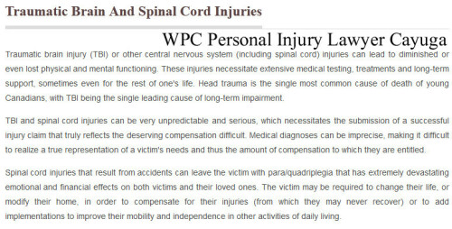 Cayuga-Injury-Lawyer.jpg