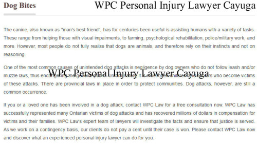 Personal-Attorney-Lawyer-Cayuga-ON.jpg
