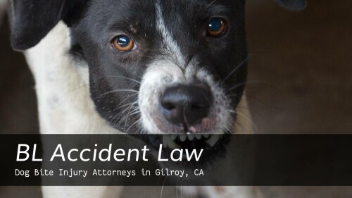 dog-bite-attorney-gilroy.jpg