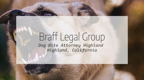 dog-bite-attorney-highland.jpg