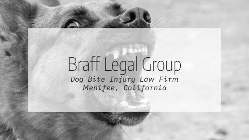 dog-bite-injury-law-firm-menifee.jpg