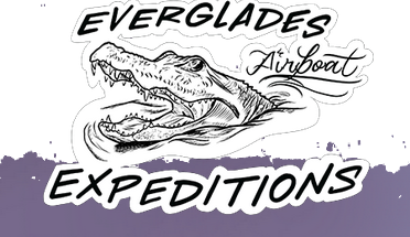 Everglades-Airboat-Rides.png