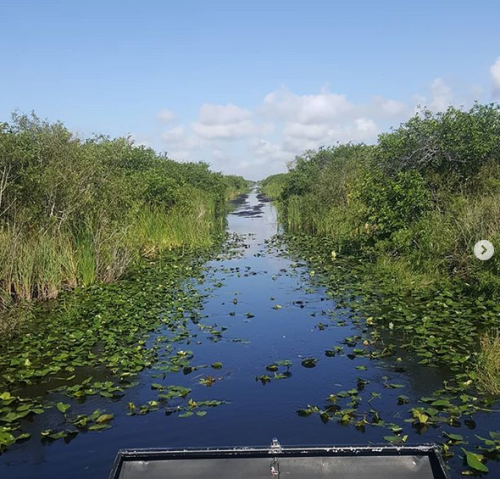 Everglades Airboat Expeditions
17696 SW 8th Street
Miami, FL 33194
(305) 382-0334