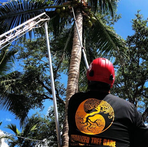 Specialized Tree Care Miami
(786) 718-2443

http://www.treecareguru.com/