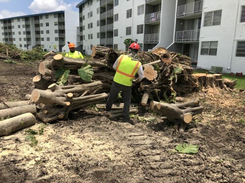 Specialized Tree Care Miami
(786) 718-2443

http://www.treecareguru.com/