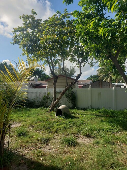 Tree-Removal-Miami-FL0078654469ceba48.jpg