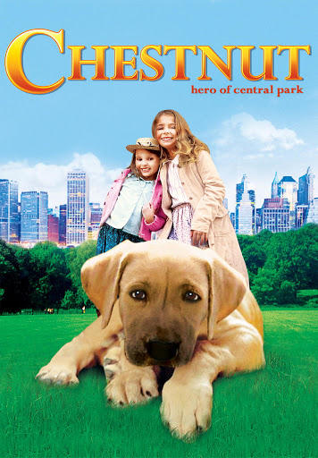 Chestnut-Hero-of-Central-Park.jpg